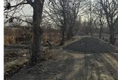 زمین ۲۰۰ متری باغی قولنامه